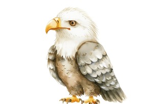 Cute Eagle Bird Baby Watercolor Handmade illustration 2