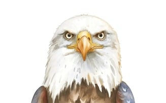 Cute Eagle Bird Baby Watercolor Handmade illustration 6
