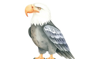Cute Eagle Bird Baby Watercolor Handmade illustration 8