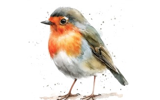 Cute Robin Bird Baby Watercolor Handmade illustration 1