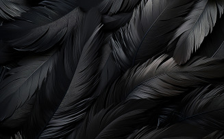 Abstract dark feathers pattern_black feathers pattern
