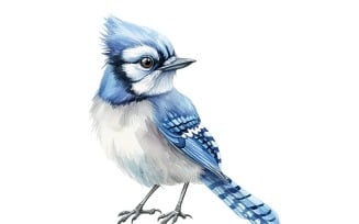 Cute blue jay Bird Baby Watercolor Handmade illustration 1