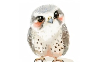Cute falcon Bird Baby Watercolor Handmade illustration 4