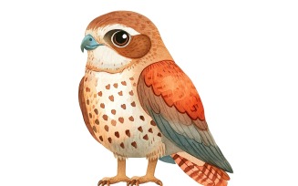 Cute hawk Bird Baby Watercolor Handmade illustration 2