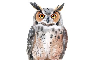 Cute horned owl Bird Baby Watercolor Handmade illustration 3