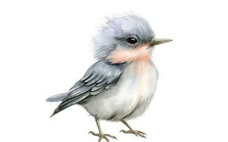 Cute starling Bird Baby Watercolor Handmade illustration 1