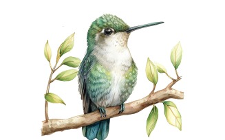 Cute Humming Bird Baby Watercolor Handmade illustration 3