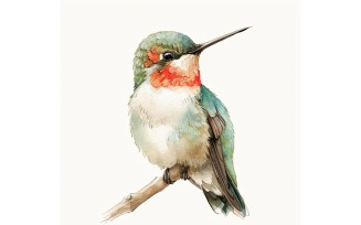 Cute Humming Bird Baby Watercolor Handmade illustration 4