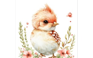 Cute Pheasant Bird Baby Watercolor Handmade illustration 2