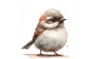 Cute Sparrow Owl Bird Baby Watercolor Handmade illustration 3