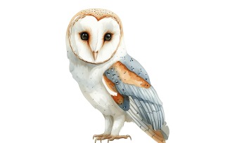 Cute Barn Owl Bird Baby Watercolor Handmade illustration 1