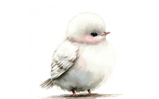 Cute Dove Bird Baby Watercolor Handmade illustration 4