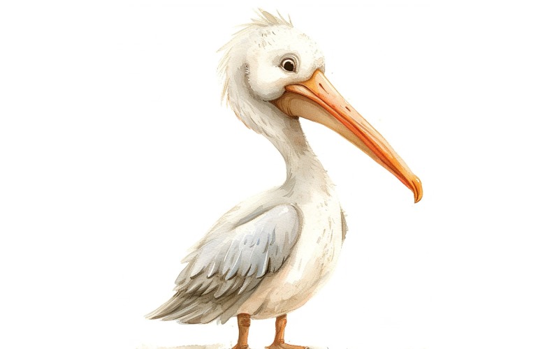 Cute Pelican Bird Baby Watercolor Handmade illustration 1 Illustration