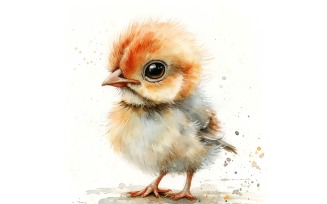 Cute Pheasant Bird Baby Watercolor Handmade illustration 4
