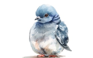 Cute Rock Pigeon Bird Baby Watercolor Handmade illustration 1