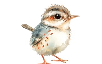 Cute Woodcock Bird Baby Watercolor Handmade illustration 3