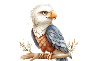 Cute Bald Eagle Bird Baby Watercolor Handmade illustration 4