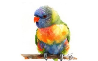 Cute Rainbow Lorikeet Bird Baby Watercolor Handmade illustration 1