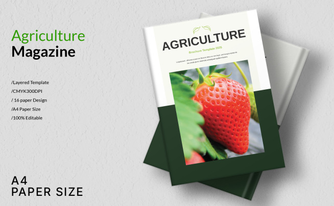 Magazine Templates - Free Download in ONE Membership