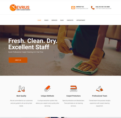 Carpet Cleaning and Desinfection WordPress Theme