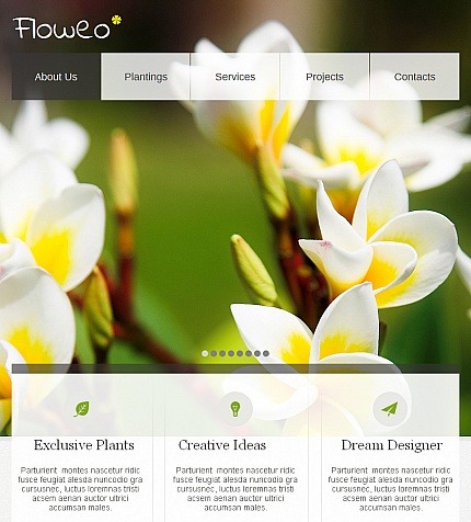 Flowers Premium Facebook HTML CMS Theme Big Screenshot Flowers Facebook HTML CMS Template Facebook Screenshot