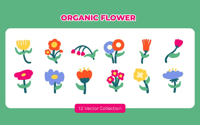 Organic Flower Vector Set Vector Graphic