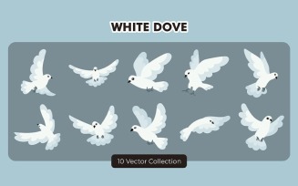 White Dove Vector Set Collection