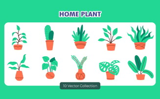 Home Plant Vector Set Collection