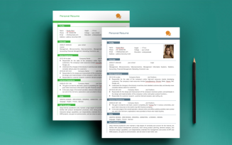 The CV -Souley Moni CV - Printable Resume Templates