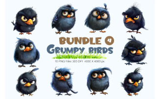 Grumpy cute birds 04. TShirt Sticker.