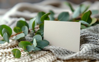 White Paper Card On Green Leaves 68