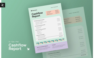 Soft Color Cash Flow Report