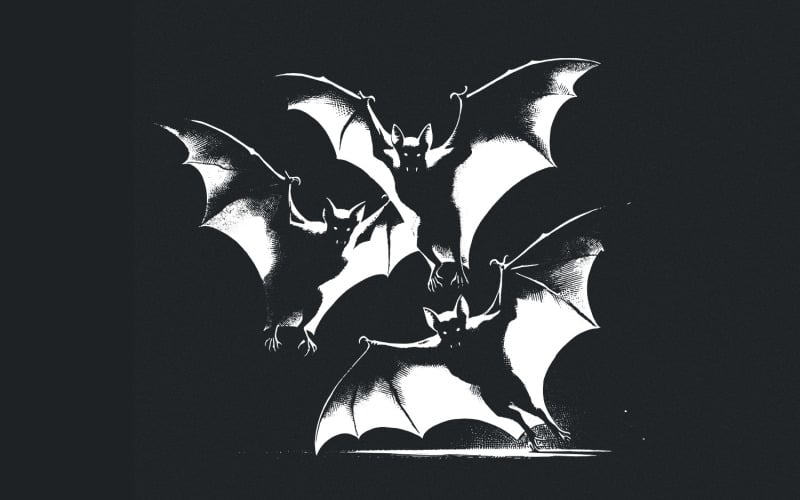 Bat Silhouette PNG, Spooky Bat Art, Halloween PNG, Gothic Bat Illustration, Night Creatures