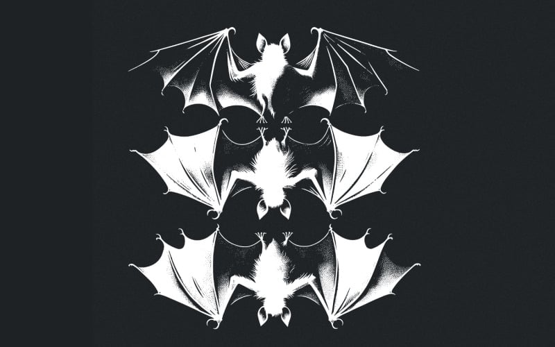 Flying Bats PNG, Gothic Bat PNG, Spooky Night Bats, Halloween Digital Download, Dark Sky Illustration