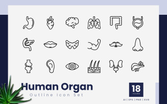Human Organ Outline Icon Set