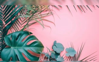 Leaves Plants On Pink Background With Copy Space 07