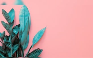 Leaves Plants On Pink Background With Copy Space 15