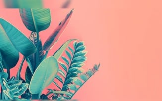Leaves Plants On Pink Background With Copy Space 20