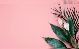 Leaves Plants On Pink Background With Copy Space 100