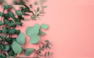Leaves Plants On Pink Background With Copy Space 38