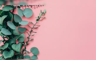 Leaves Plants On Pink Background With Copy Space 42