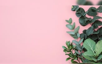 Leaves Plants On Pink Background With Copy Space 44