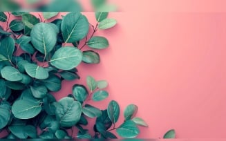 Leaves Plants On Pink Background With Copy Space 46