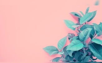Leaves Plants On Pink Background With Copy Space 59