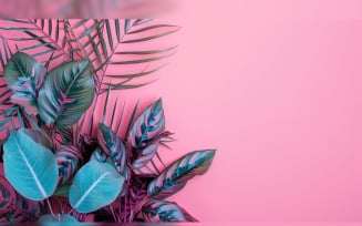 Leaves Plants On Pink Background With Copy Space 74
