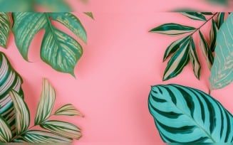 Leaves Plants On Pink Background With Copy Space 76