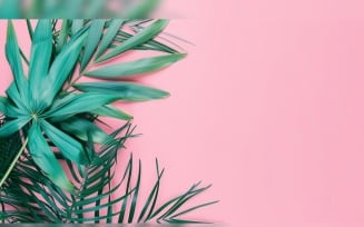 Leaves Plants On Pink Background With Copy Space 86