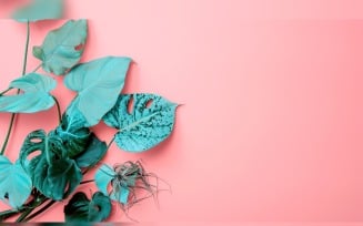 Leaves Plants On Pink Background With Copy Space 90