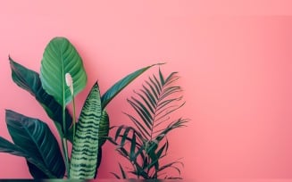Leaves Plants On Pink Background With Copy Space 94