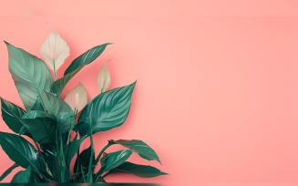 Leaves Plants On Pink Background With Copy Space 96